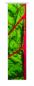 Preview: Flächenvorhang Mangold  , Schiebevorhang, Schiebegardine, modern, 60 cm breit, 2,65 m hoch,